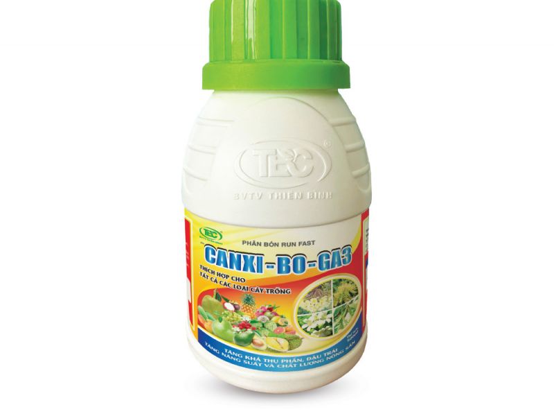 CANXI-BO-GA3
